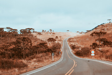 street