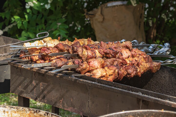 Culinary buffet with takeaway healthy food - meat, pepper, spices, grilled vegetables. Fish and meat on the street, food market, festival, event. Kitchen in the open air.