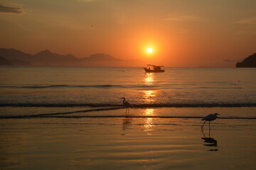silhouette of fishing boat during sunrise on the beach, Itagua Ubatuba