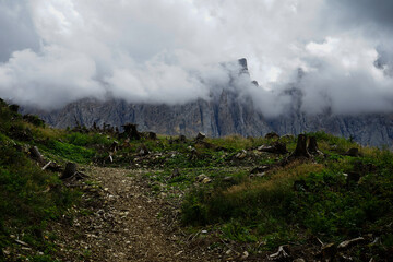 Catinaccio and Latemar mountains covered by clouds over a path of cutted pine trees, Dolomites, Unesco, Sudtirol, Trentino Alto Adige, Italy