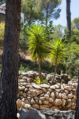 Spain, village, landscape