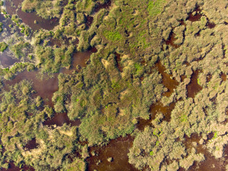 Top down aerial drone view of a marsh in summer day