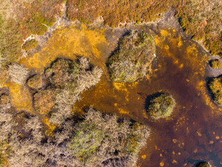Top down aerial drone view of a marsh in summer day