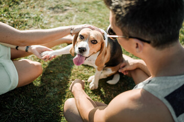 a couple with their beagle dog in a park with green grass