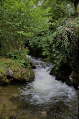 Welsh Valley Water