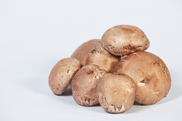 Group of Champignon mushroom, brown variety, isolated on white background.