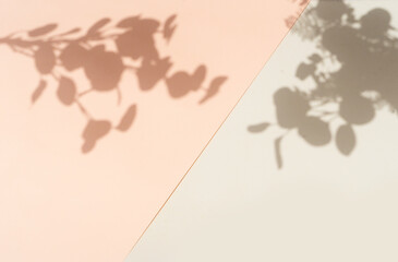 Shadow of leaves on the wall