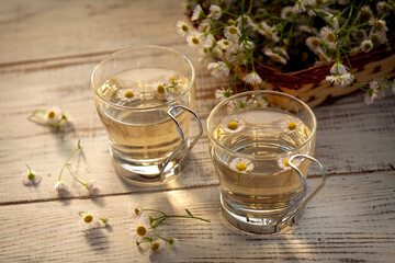 chamomile tea in glass cups