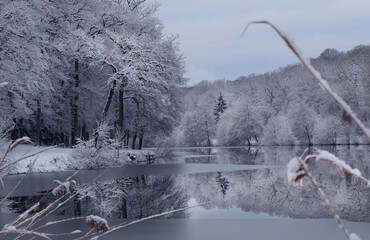 lac de Contrexeville  hiver 