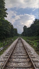 railway track going through forest