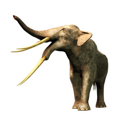 Stegotetrabelodon is an extinct, four tusked, prehistoric cousin of the elephant, a type of gomphothere of the Micoene. Depicted with no background. 3D Rendering