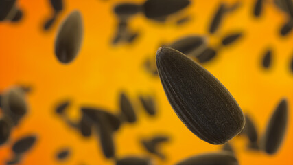 Black sunflower seeds on orange background. Single Sunflower seed closeup macro shot isolated in the foreground. Shallow depth of field. Product template. 3d rendering