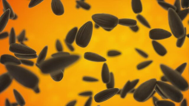 Black sunflower seeds on orange background. Fly up. Shallow depth of field. Template for advertising, presentation. 3d animation 4K