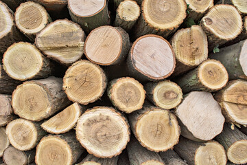 Firewood in households