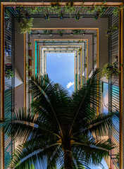vertical view of interior balcony with blue sky and palm tree