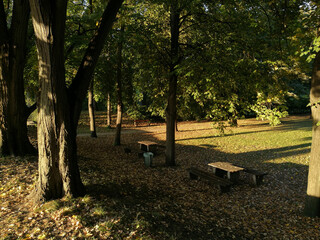 Golden hour at Népliget, Budapest