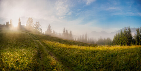 Beautiful sunrise in the mountains. Dawn and fog in the Carpathians, Ukraine