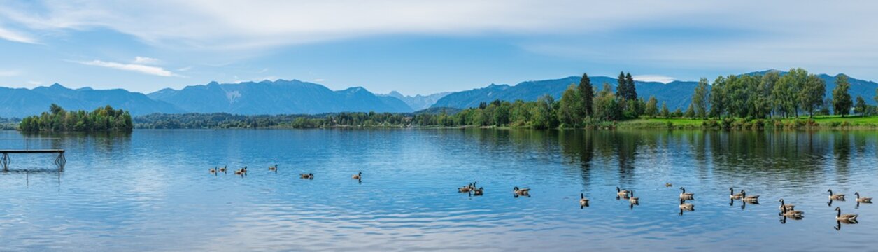 Staffelsee Panorama bei Murnau in Bayern mit Alpenblick am Horizont und Enten auf dem See