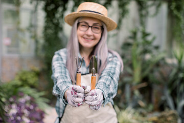 Smiling pretty elderly gardening woman, wearing straw hat and apron, showing little spade and rake to camera, posing in greenhouse, on the background of tropic plants and palm trees. Focus on hands