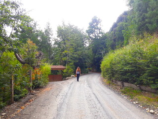 Camino rural, sur de Chile, vegetación