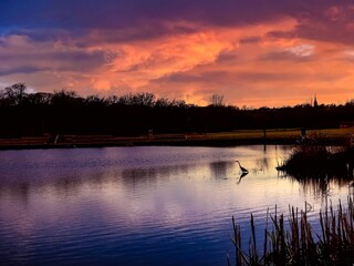 Dramatic Sunset Sky Over A Great Egret In A Pond