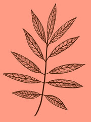 Vintage autumn leaf drawn by strokes on an orange background