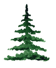 watercolor hand drawn green pine tree isolated on white background