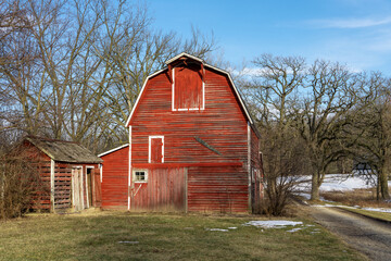 An old, three-story, red wooden barn with white trim around the windows. The tall narrow barn sits among oak trees next to the road on a family farm. © Kimberly Boyles