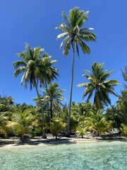 Lagon et plage paradisiaque à Taha'a, Polynésie française	