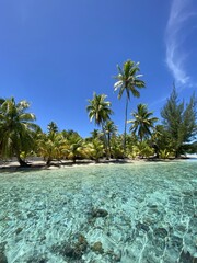 Lagon et plage paradisiaque à Taha'a, Polynésie française	