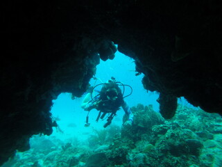 Scuba diving in the caribbean sea 