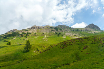 Landscape of Dolomites in Venegia valley at summer