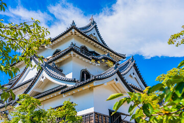 彦根城 滋賀県 観光地