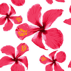 Seamless pattern tropical summer with red Hibiscus flowers on isolated white background.Vector illustration hand drawing dry watercolor style.For fabric design.