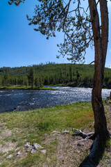 Firehole River in Yellowstone Park