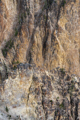 Brink of the Lower Falls, Grand Canyon, Yellowstone Park