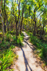 JBay Gumtree Track Vert