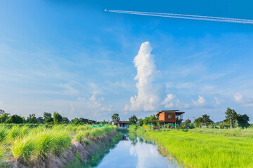 Fototapeta na wymiar The countryside, green paddy rice field with beautiful sky cloud in upcountry Thailand.