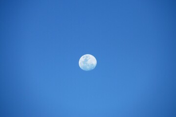 Naklejka na ściany i meble the moon rising in a blue sky