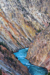 The Grand Canyon in Yellowstone Park