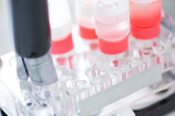 歯科用エッチング材