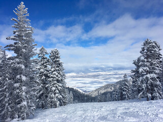 View over Carson Valley, Nevada, from Heavenly Ski Resort Lake Tahoe, with snow covered trees and clouds in the winter