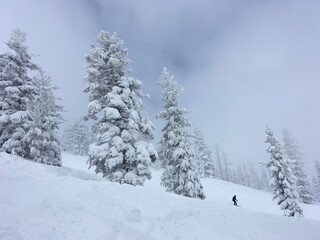 Man skiing on a slope at Heavenly Ski Resort in Lake Tahoe, on a snowy day, with snow covered trees nearby