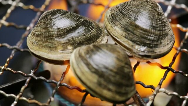 Cooking clam