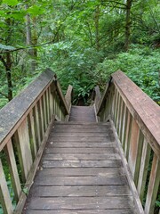 wooden bridge in the woods