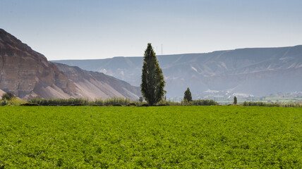 ranch with mountains