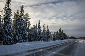 Fototapeta premium road in winter