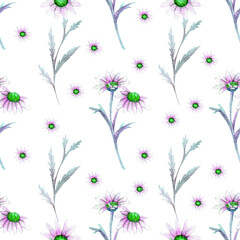 Seamless pattern with flowers and Thistle leaves on a white background. Flower pattern for Wallpaper or fabric. Watercolor illustration. Element for packaging design, invitations, postcards, etc