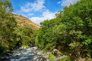 Fototapeta na wymiar Nature background, river, trees, blue sky