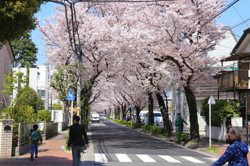 日本の春の町並み